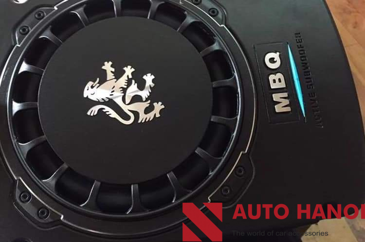 Loa Bas Lắp Hyundai Accent Loại Phổ Thông - Ảnh 2